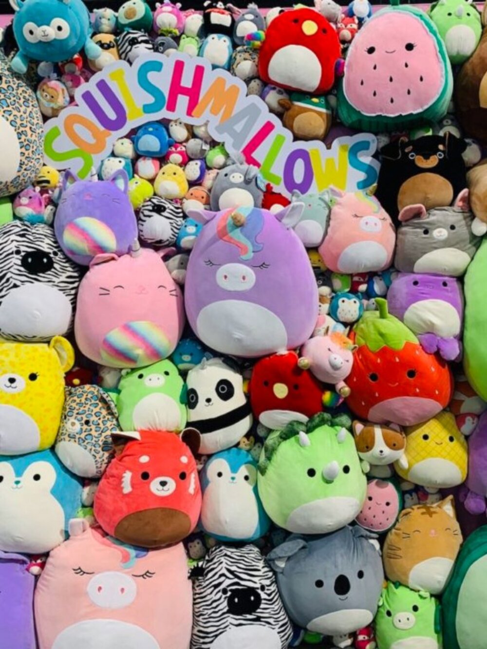 Squishmallows Live Sale Post